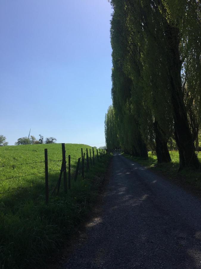 La Gaite De Louvignies Lägenhet Exteriör bild